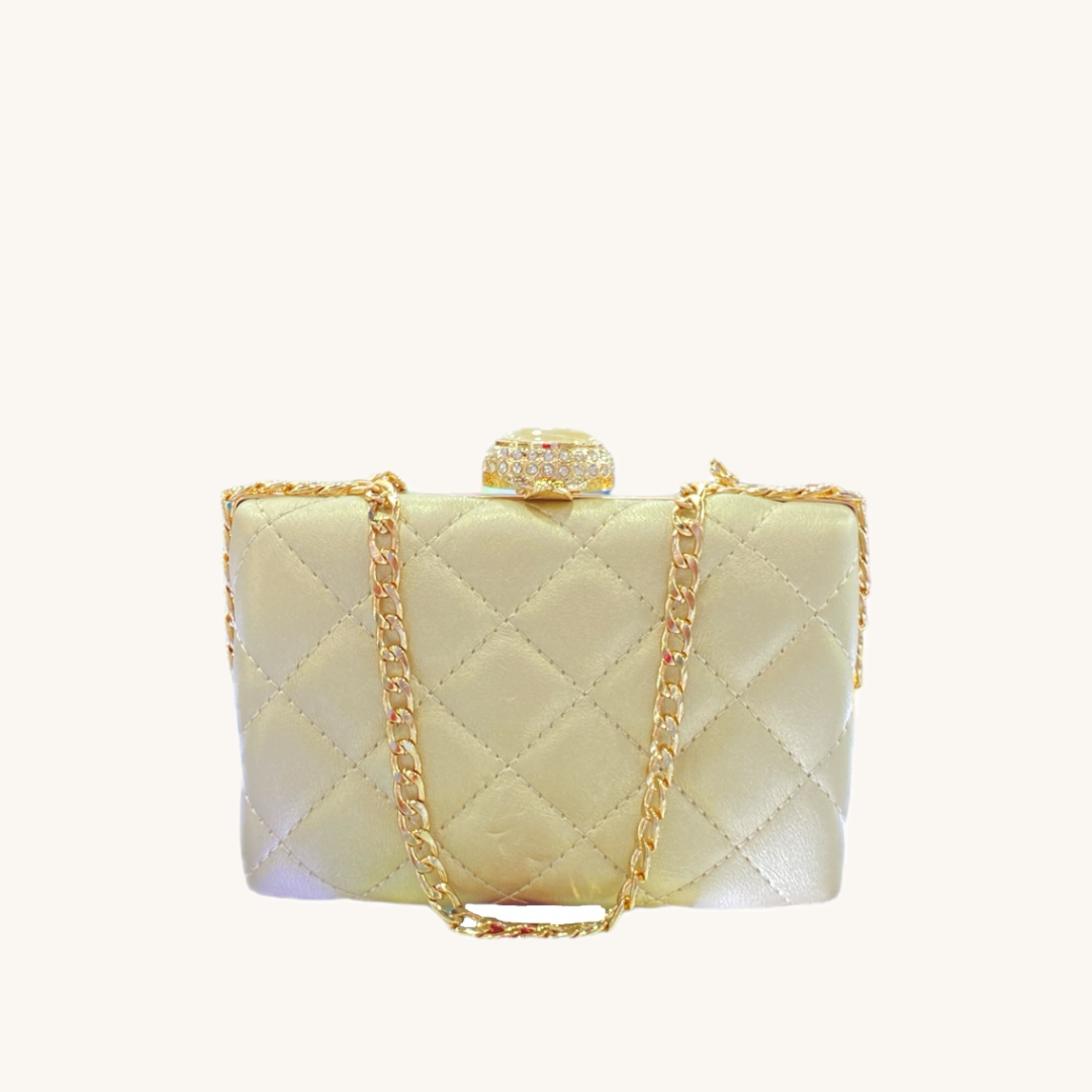 Elegant Mini Evening Bag