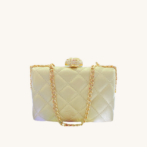 Elegant Mini Evening Bag