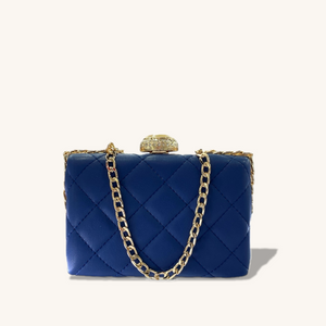 Elegant Mini Evening Bag