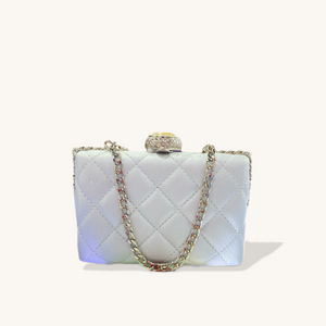 Elegant Mini Evening Bag